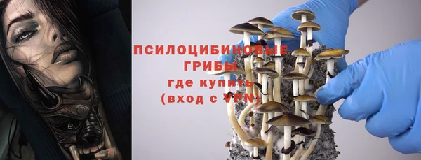 крисы Алексеевка