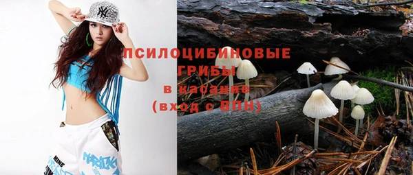 2c-b Алексин