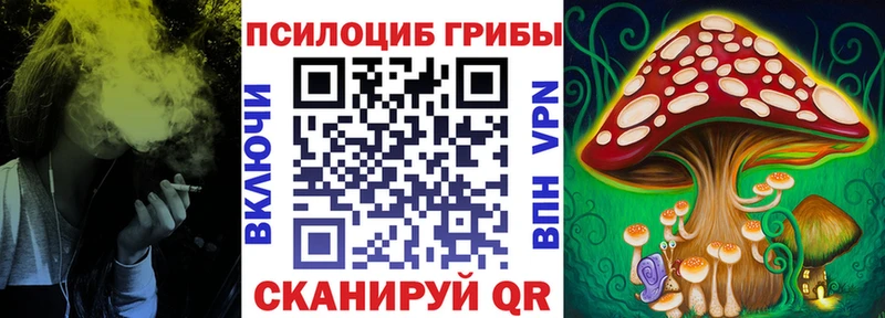 Галлюциногенные грибы Psilocybe  Омск 
